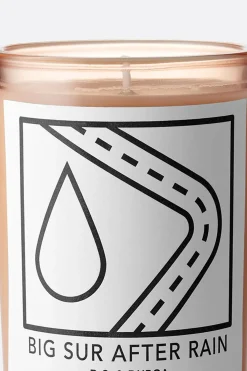 D.S. & DURGA Big Sur After Rain scented candle 200 g