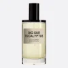 D.S. & DURGA Big Sur Eucalyptus Eau de Parfum 100 ml