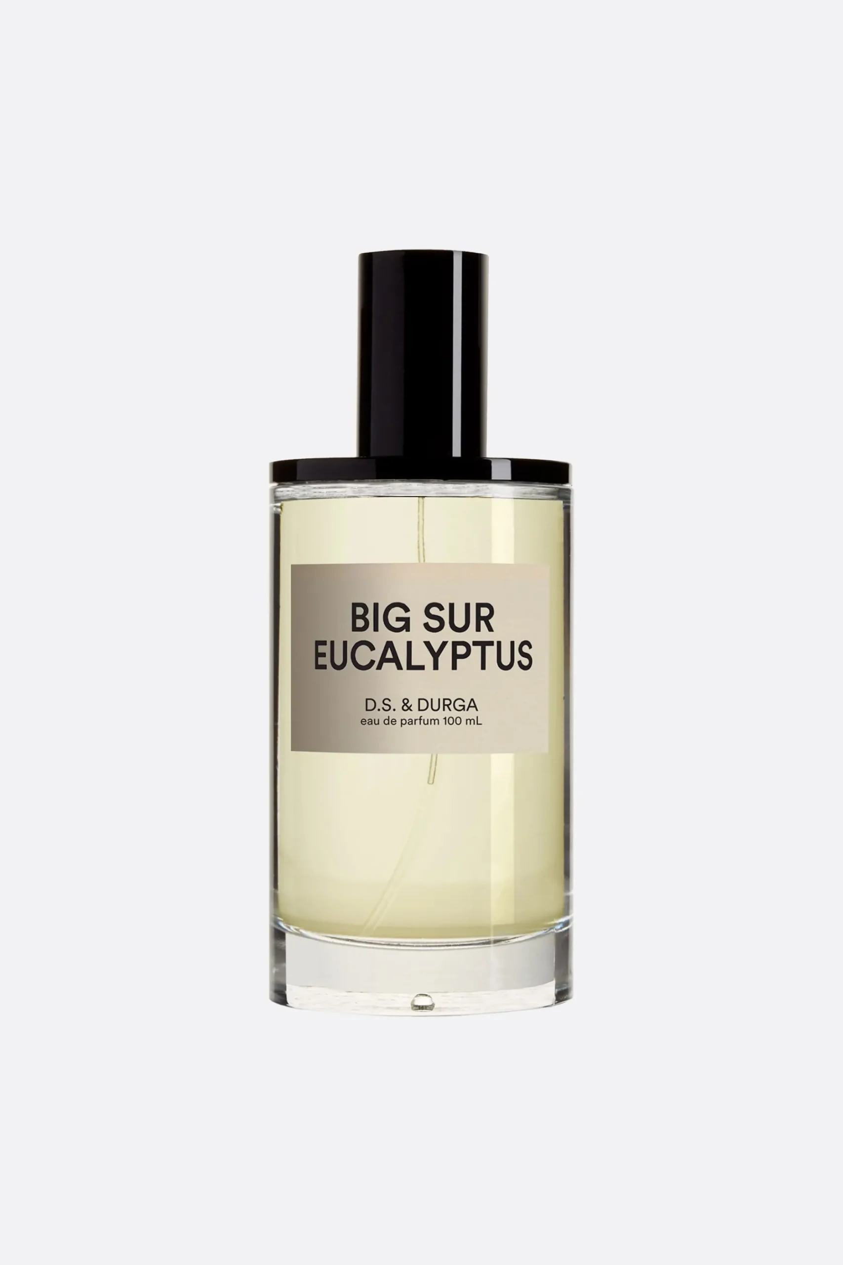 D.S. & DURGA Big Sur Eucalyptus Eau de Parfum 100 ml