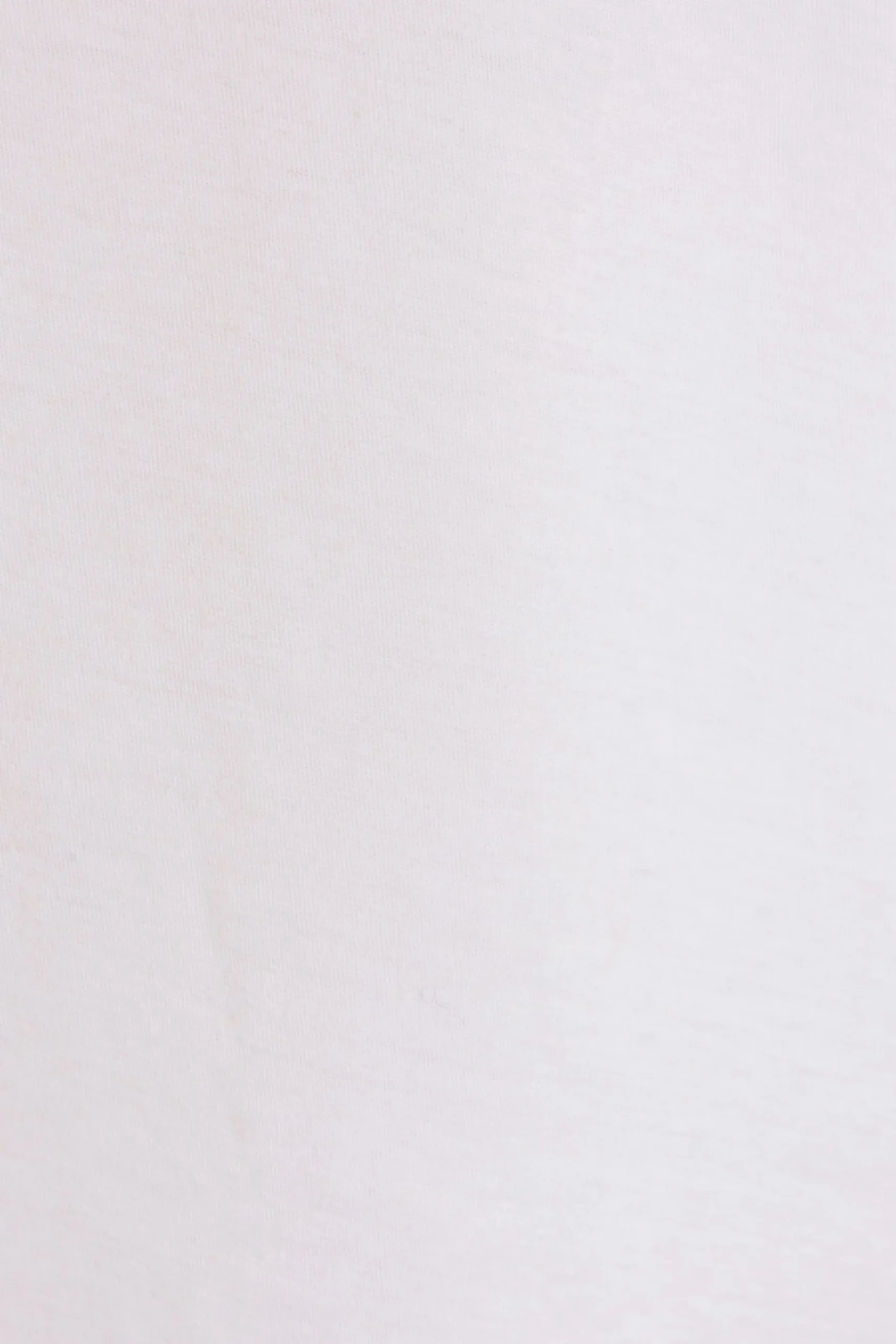 ACNE STUDIOS cotton and hemp t-shirt with 1996 print