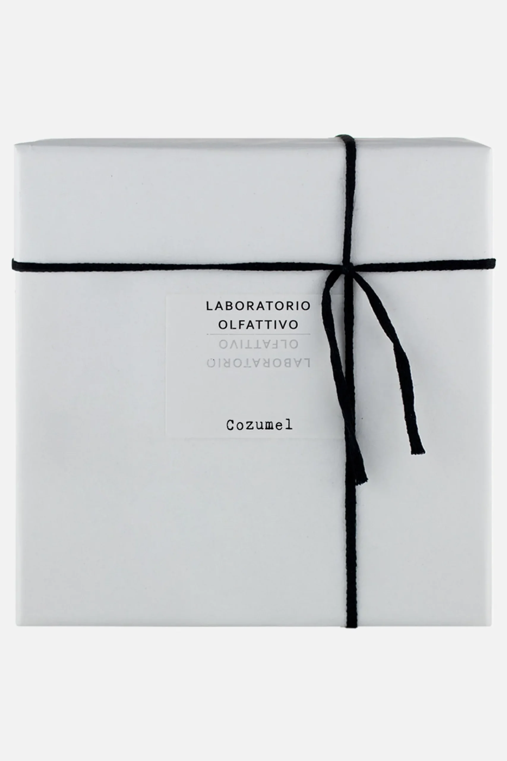 LABORATORIO OLFATTIVO Cozumel Eau de Parfum 100 ml