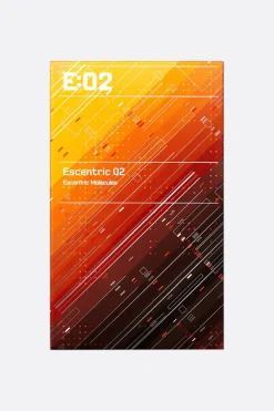 ESCENTRIC MOLECULES Escentric 02 100 ml