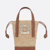Women ROGER VIVIER Viv' Skate mini bucket bag in raffia